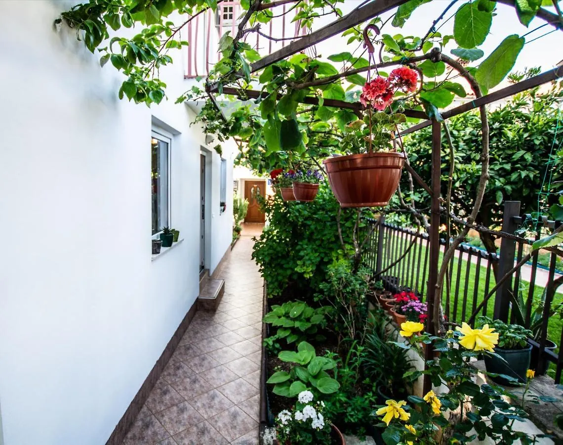 Apartments Lea Porec Croatia