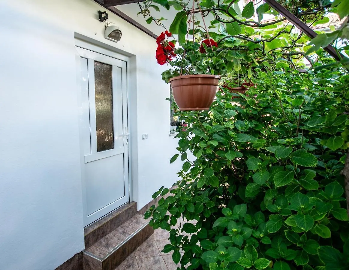 Apartments Lea Porec
